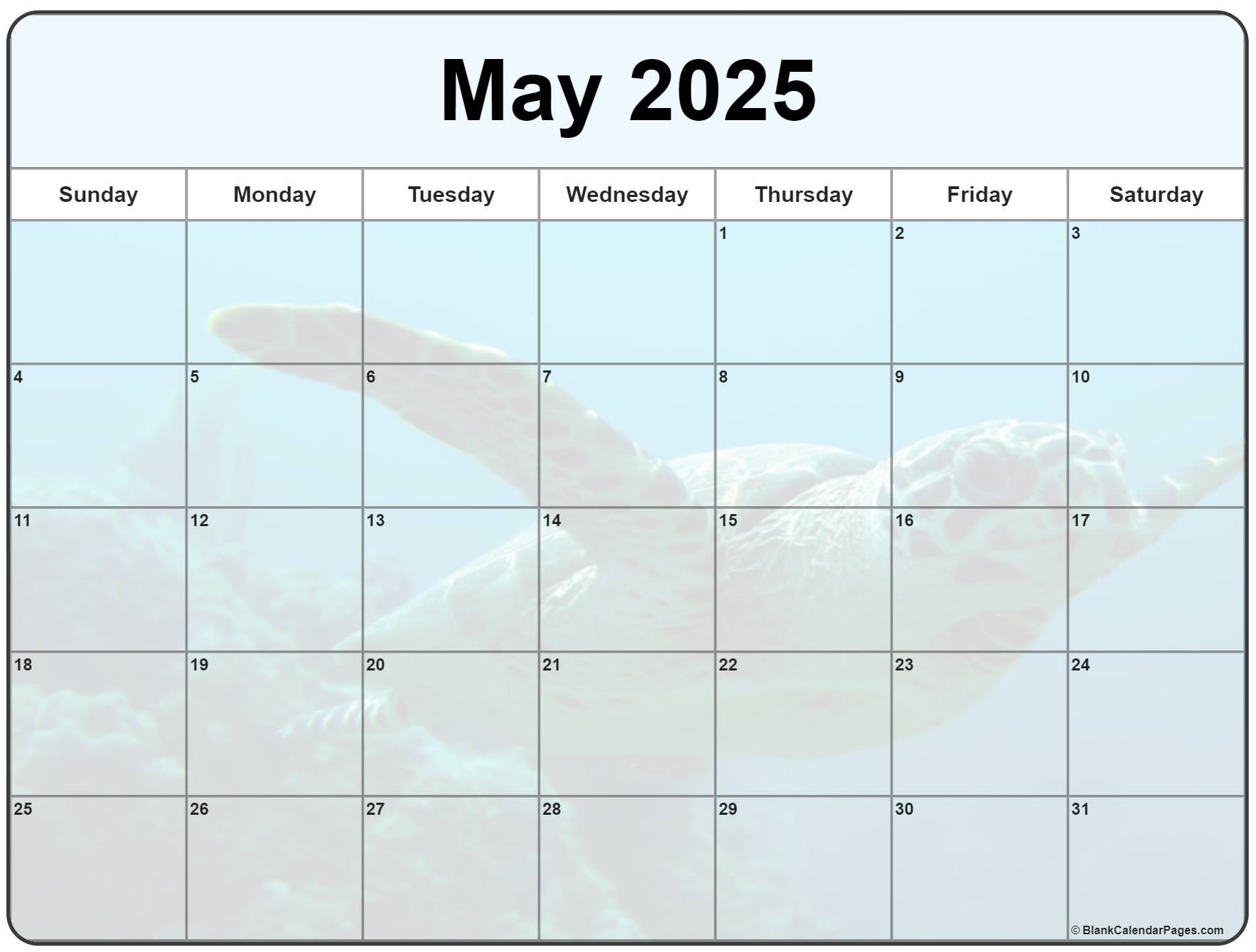 Blank May 2025 Calendar Printable