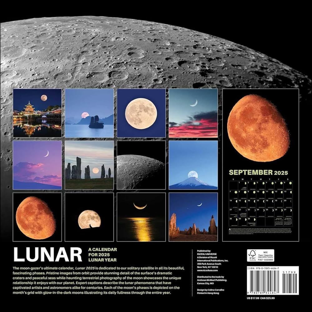 Lunar 2025 Wall Calendar Rizzoli Universe 9780789344847 Amazon Books
