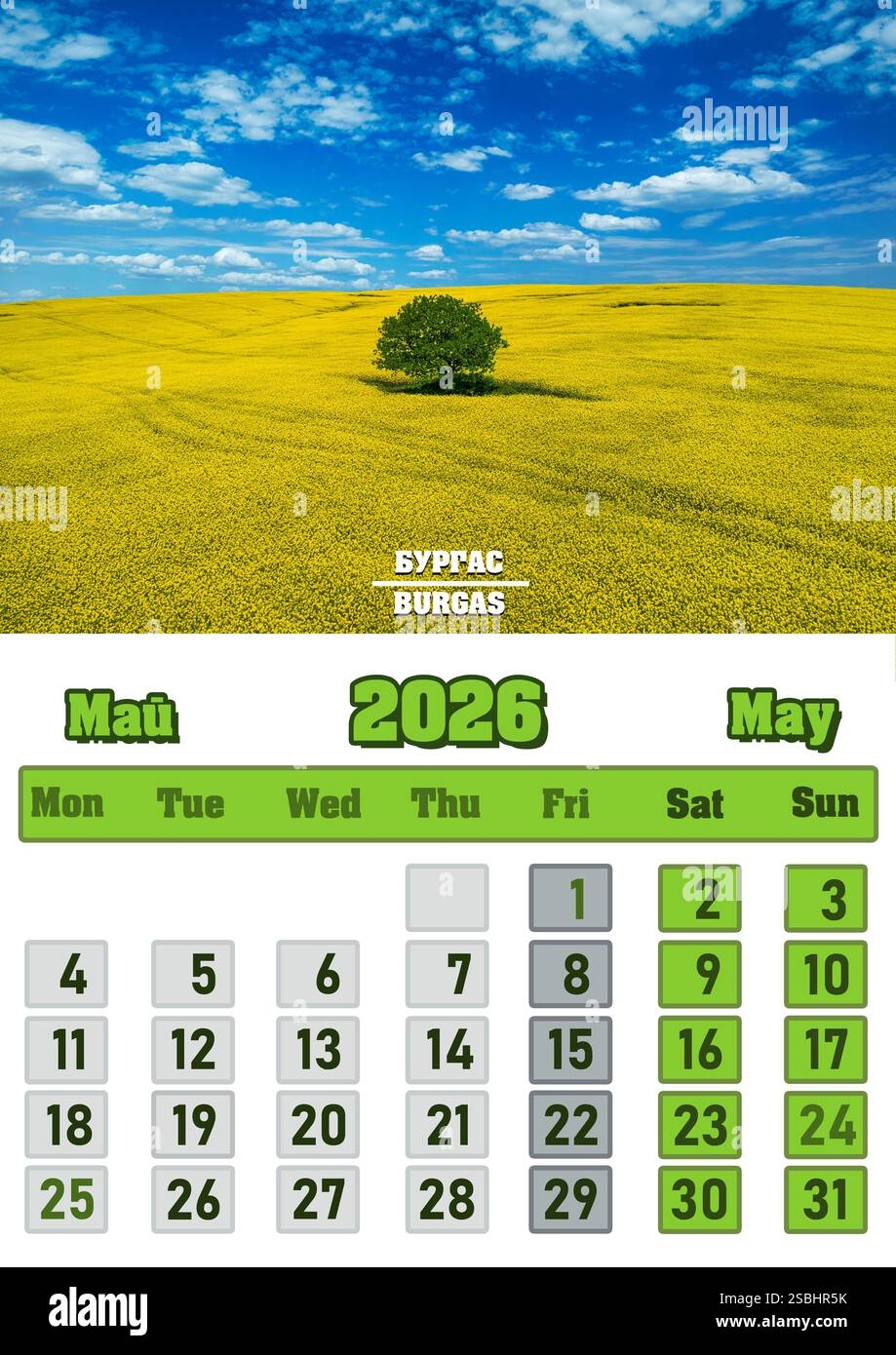 March Calendar 2026 Wallpaper