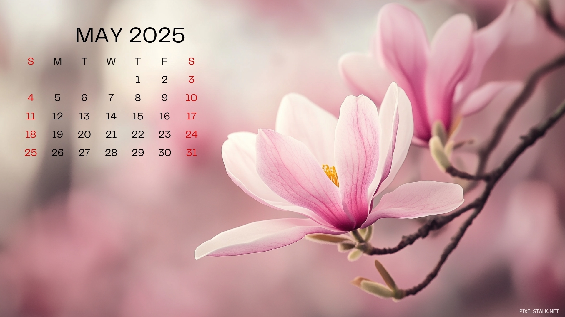 May Wallpaper Calendar 2025