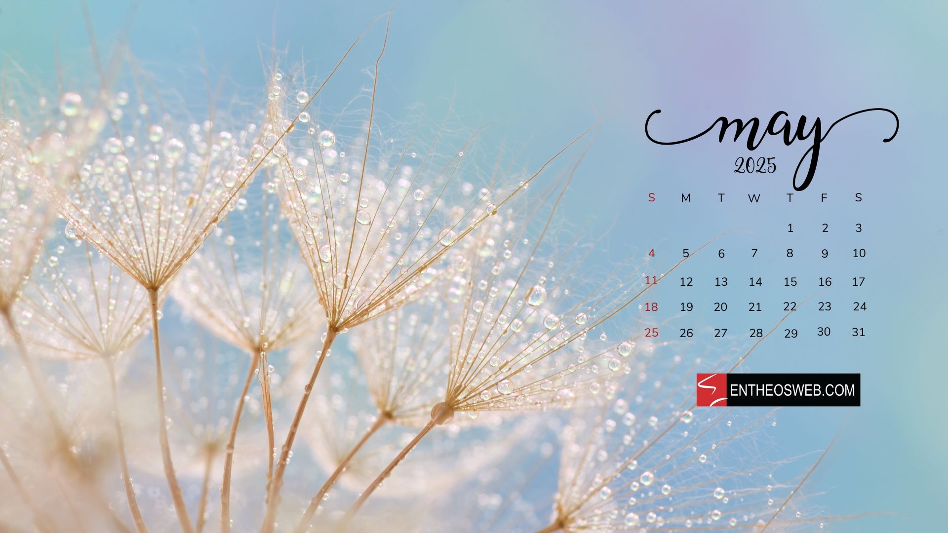 May Desktop Calendar Wallpaper EntheosWeb